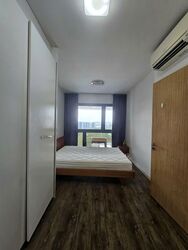 The Lakefront Residences (D22), Condominium #557955481